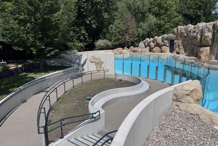 Pawilon Pingwinów – MO Zoologiczny im. Antoniny i Jana Żabińskich – zdjęcie 6