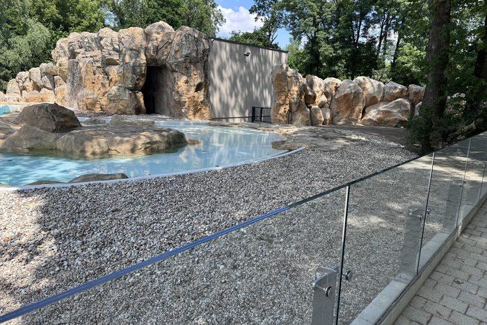 Pawilon Pingwinów – MO Zoologiczny im. Antoniny i Jana Żabińskich – zdjęcie 13