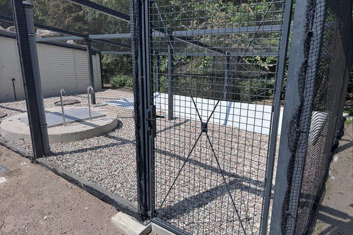 Pawilon Pingwinów – MO Zoologiczny im. Antoniny i Jana Żabińskich – zdjęcie 16
